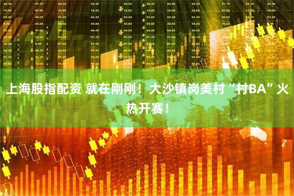 上海股指配资 就在刚刚！大沙镇岗美村“村BA”火热开赛！